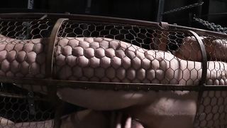 Lube service - strange hobbies my wife BDSM