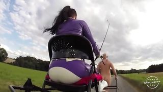 Mistress Susi - Whipped Carriage Pony in Nature