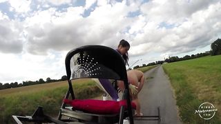 Mistress Susi - Whipped Carriage Pony in Nature