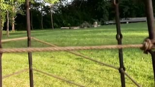 Tattooed Beauty in Full Chastity