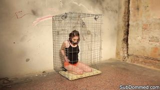 Caged sub Babe Humiliated by Maledom