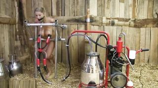 Busty naked blonde cuffed and milked on farm