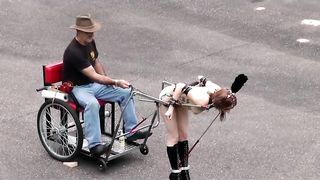 The Cart & The Crook-Lock System