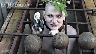 TrannyPig Caged Outdoors on 4th of July