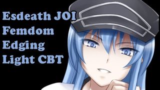 Esdeath Teaches you a Lesson [hentai JOI, AgK JOI] (Femdom, Light CBT, Edging, CEI)