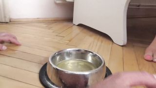 Femdom s Humiliate Slaves with Feeding Extreme