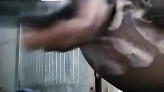 vietnam shemale anal fisting and long dildo