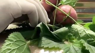 CBT: Stinging Nettles + TENS Unit = Amazing CBT Fun!