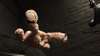 Irgendetwas Stimmt Mit Hasi Nicht