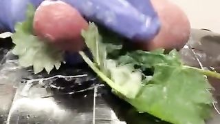 CBT: IcyHot + Stinging Nettles