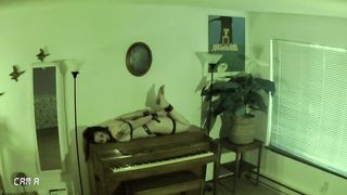 Slavegirl Monitored on Nannycam while Master is out