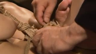 Kinbaku - Shrimp Tie