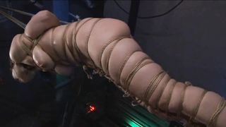 Asian Cunt Ayaka Shintani Bound in Shibari and Brutally Whipped to Scream