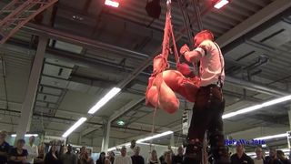 Proud Flesh Bondage Public