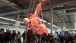 Proud Flesh Bondage Public