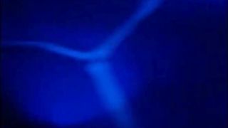 Compilation of Latin American Shemales and Trannies being Prostitutes and Sexy