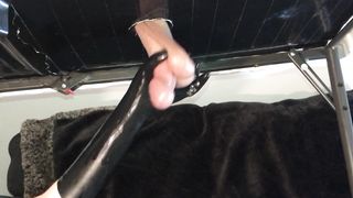 Cock Milking Table with Latex Gloves