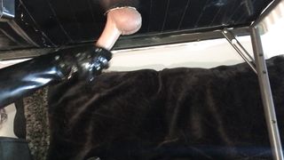 Cock Milking Table with Latex Gloves