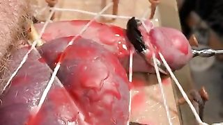 CBT: Purple Balls, Restrained Cock, TENS, and Hot Wax