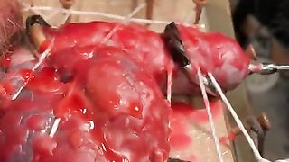 CBT: Purple Balls, Restrained Cock, TENS, and Hot Wax