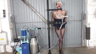 tiny tits cuffed and milked