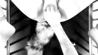 The beauty and the cage: The naughty version