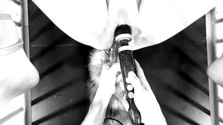 The beauty and the cage: The naughty version