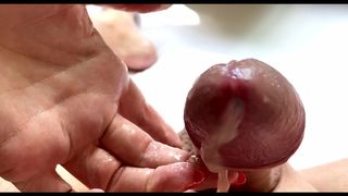 Toy Boy's endless ruin