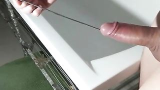 Lateron's sounding and cumming P. II. 210