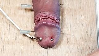 Schwanz auf ein Brett genagelt und mit Strom gefoltert.