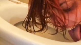 Slut licks pee from the floor in a public toilet