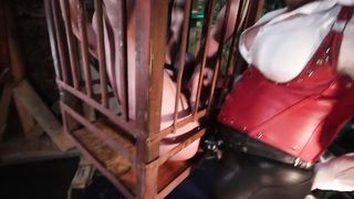 Goddess Strapon Cage