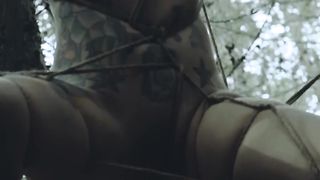 depredadoro