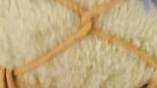 POV Fucking My Teddy Bear