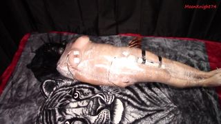 Mummified with vibrator leads to multiple orgasms. Full video
