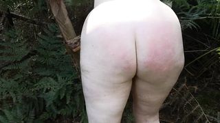 Tittraining and whipping in the woods