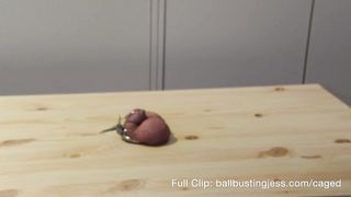 Ballbusting Jess: Stomped, Caged, Plugged, Hammered - Hardcore Ballbusting