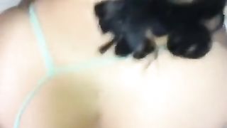 full service in house