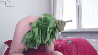 Hairy Pussy Torture with Nettles Compilation