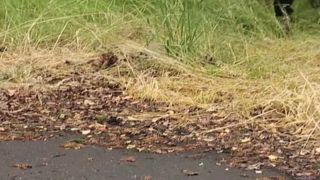 Mine SKLAVEN!!! - Scene #05