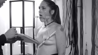 Reinforcement Training Session 02: Toy Is Not A ...