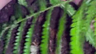 Dirty BDSM session naked in forest with meaty curtains