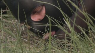 BDSM Sudden Pleasure - Episode 2