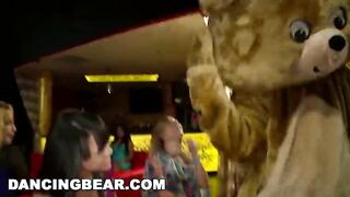 DANCING BEAR - Angelina Mylee, Olivia Olovely, Danielle Sky, Jazmine Lopez And More!