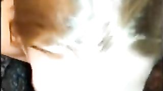 submissive craigslist slut training