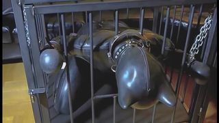 Rubber Puppy Bound in Cage (AI-Upscaled FHD)