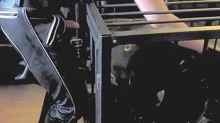 Rubber Puppy Bound in Cage (AI-Upscaled FHD)