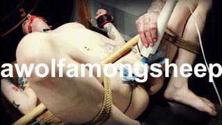 Bound and Gagged Pussy Torture