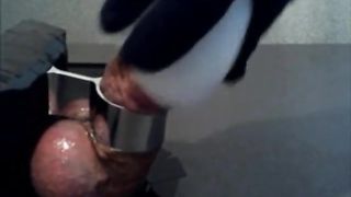 Japanese Cock Head Torture